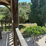 Le Clos Des Sept Palmiers 滨海卡瓦莱尔
