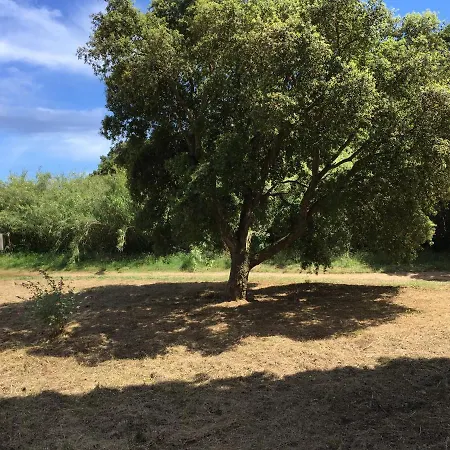 Le Clos Des Sept Palmiers 5*