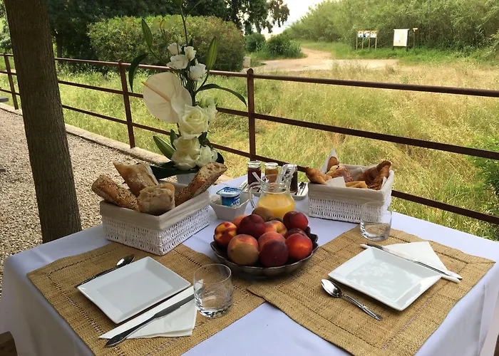 Le Clos Des Sept Palmiers
