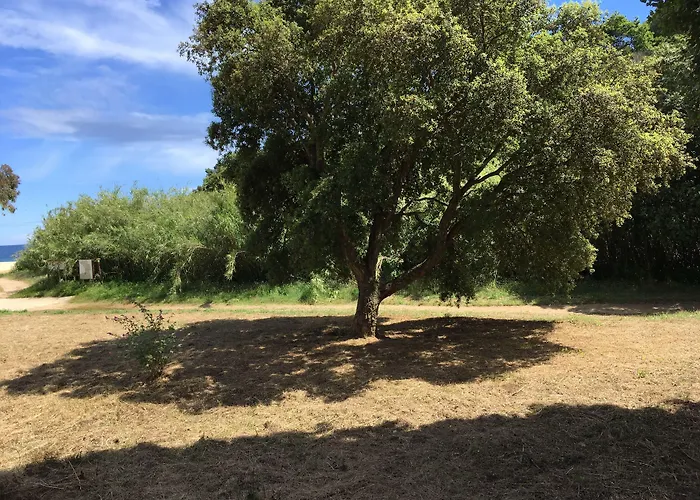 فندق Le Clos Des Sept Palmiers