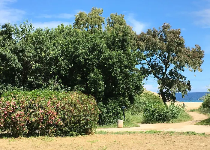 Le Clos Des Sept Palmiers