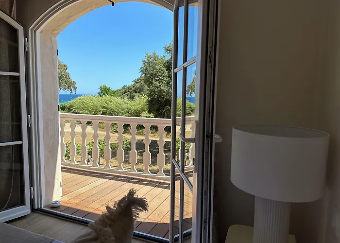 Le Clos Des Sept Palmiers Cavalaire-sur-Mer