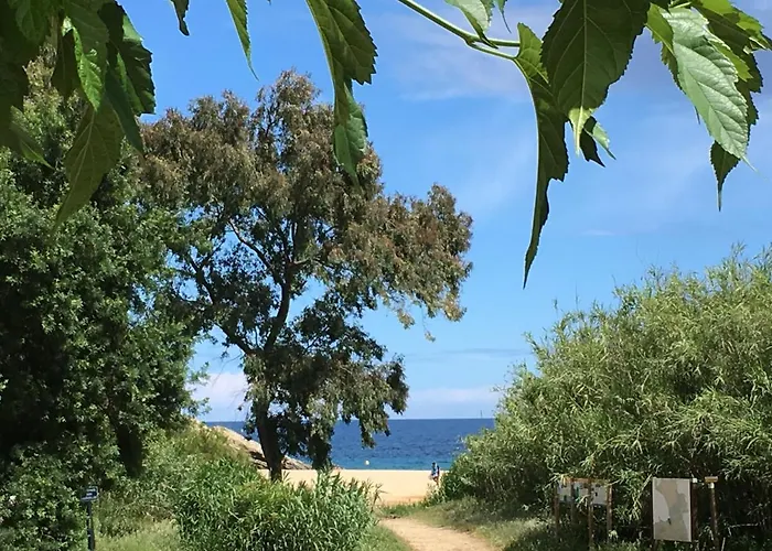 Le Clos Des Sept Palmiers 5* Cavalaire-sur-Mer